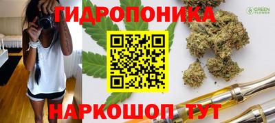 МДПВ Будённовск