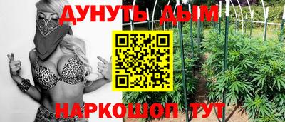 МДПВ Будённовск