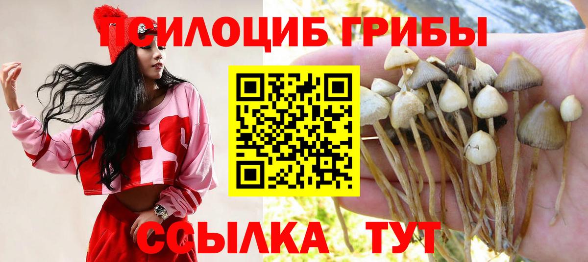 Псилоцибиновые грибы Cubensis Искитим